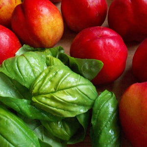 BASIL & NECTARINE - 1lb Fragrance Oil Candle Scent
