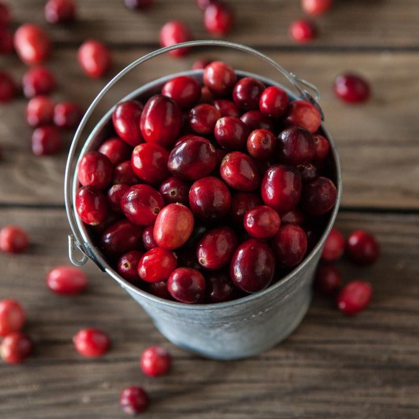CRANBERRY - 1lb Fragrance Oil Candle Scent